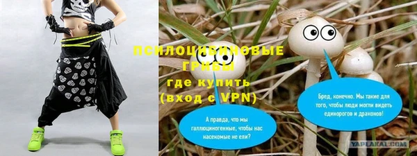 дживик Волосово