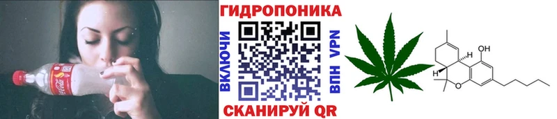 купить наркоту  Луза  Канабис VHQ 